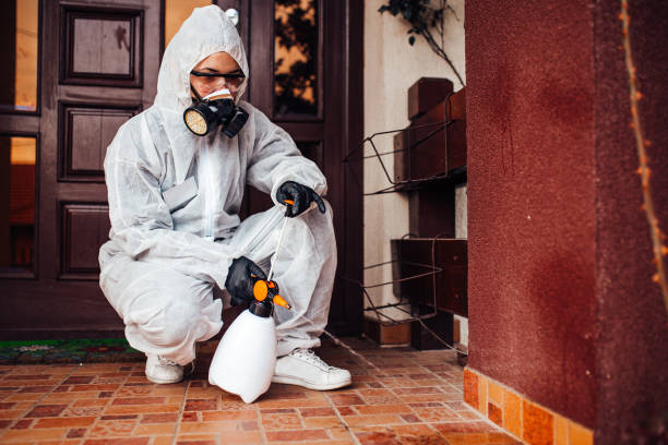 Reliable Ant Control contractor in Leominster, MA by Nex Pest Control