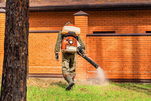 Trusted Rodent Control service in Leominster, MA - Nex Pest Control